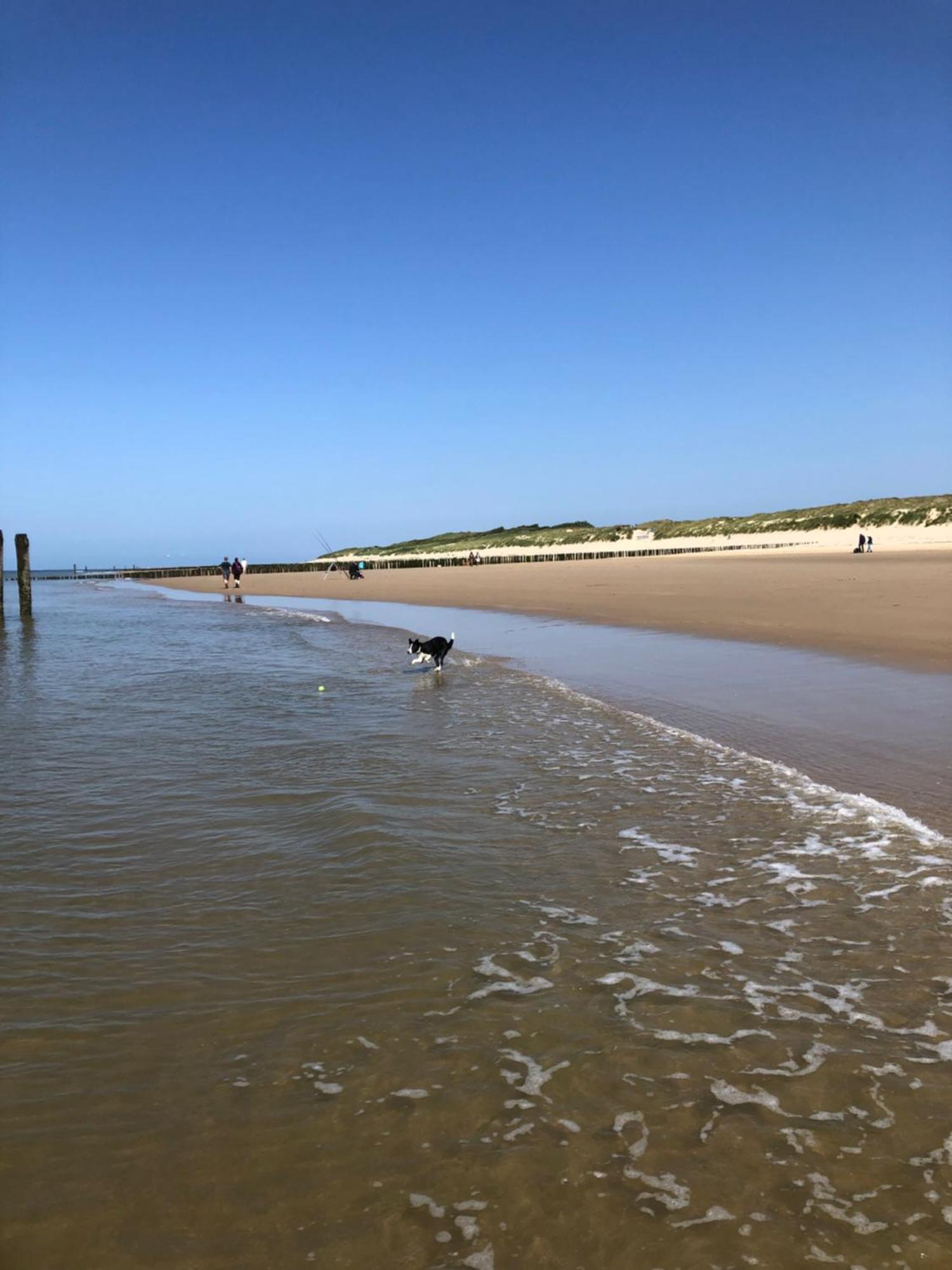 Costa Linda B&B Vlissingen Kültér fotó